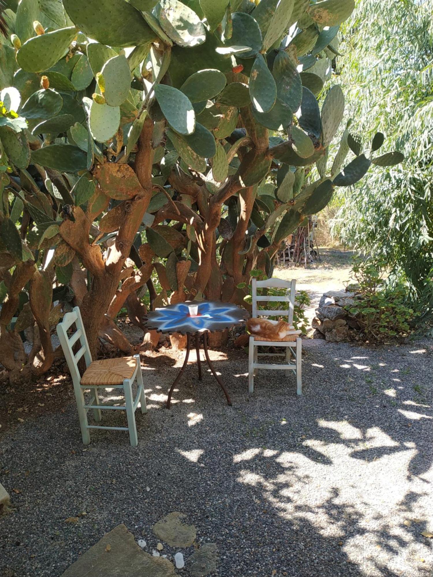 Wellanidia Cottage Skoutari Githio Exterior foto